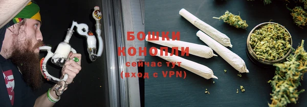 индика Красноперекопск
